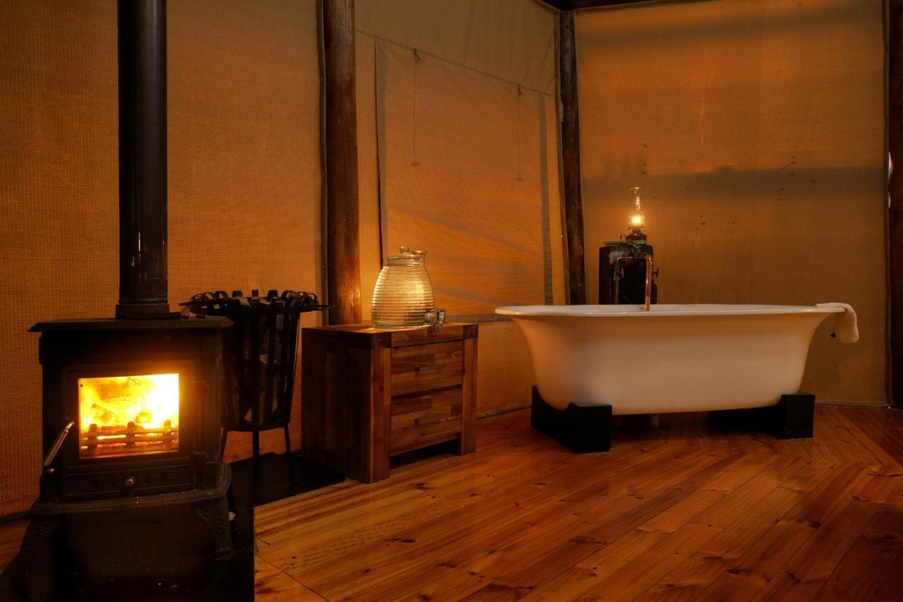 Bush Lodge - محمية أماخالا الطبيعية المظهر الخارجي الصورة