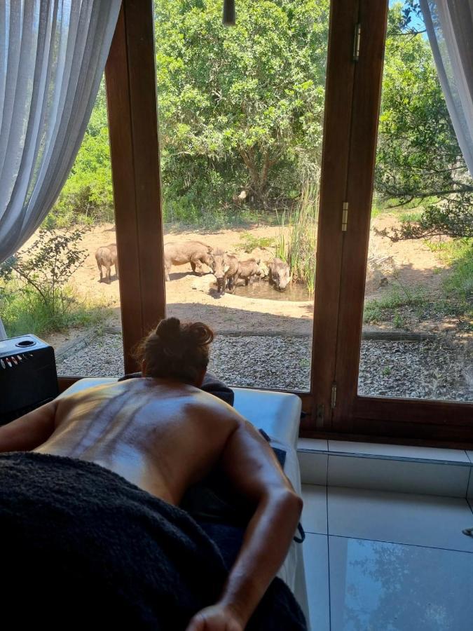 Bush Lodge - محمية أماخالا الطبيعية المظهر الخارجي الصورة