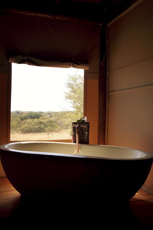 Bush Lodge - محمية أماخالا الطبيعية المظهر الخارجي الصورة