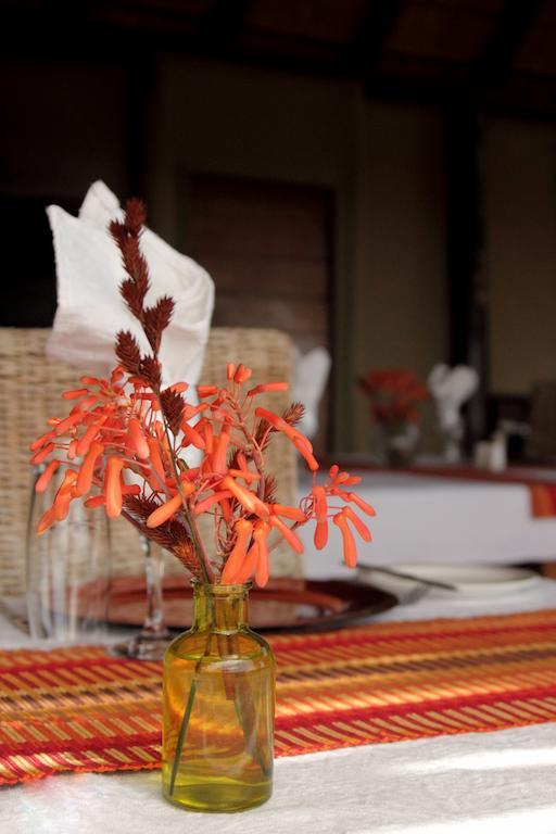 Bush Lodge - محمية أماخالا الطبيعية المظهر الخارجي الصورة