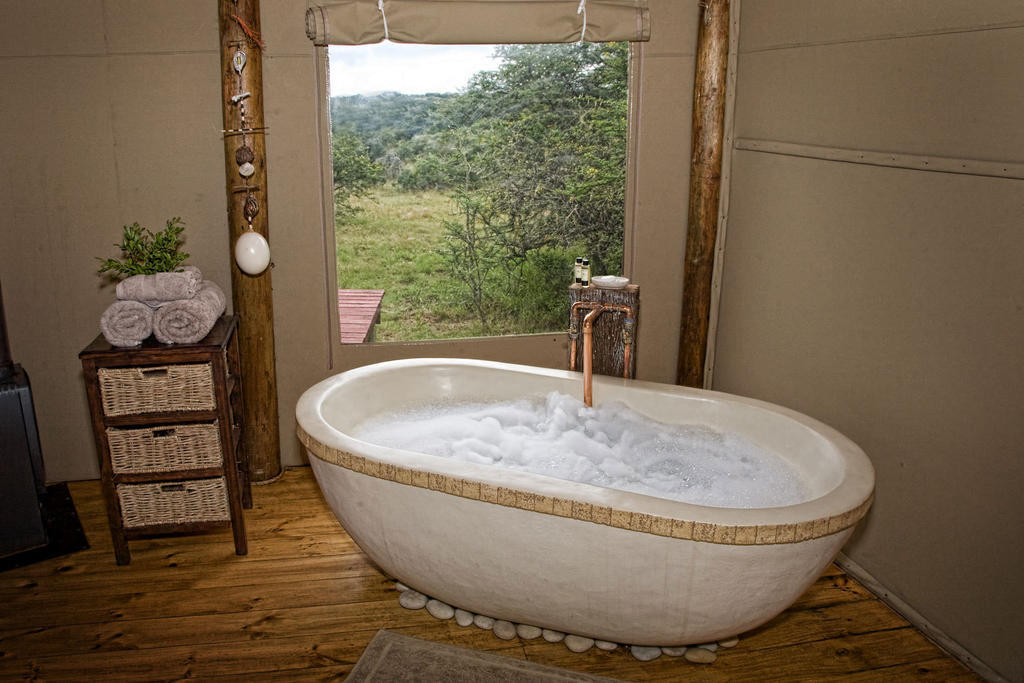 Bush Lodge - محمية أماخالا الطبيعية الغرفة الصورة